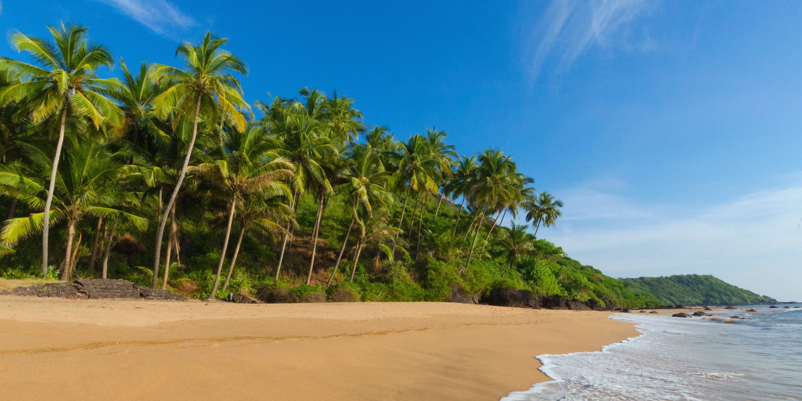 100 Hour Yoga Teacher Training in Goa, India