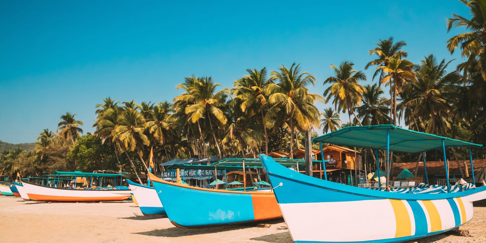 Yoga Teacher Training Offer