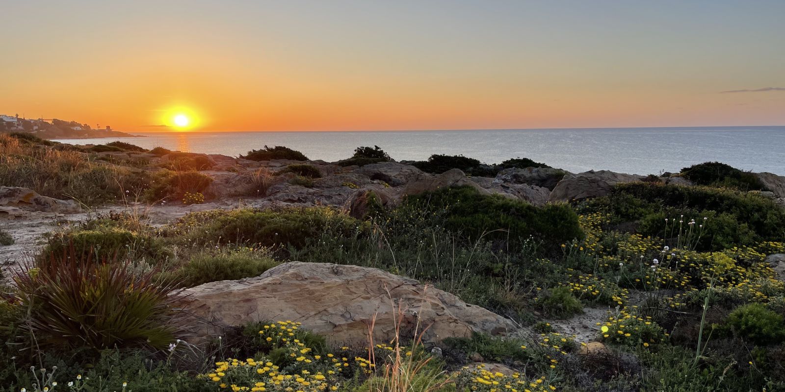 100 Hour Yoga Teacher Training in Spain